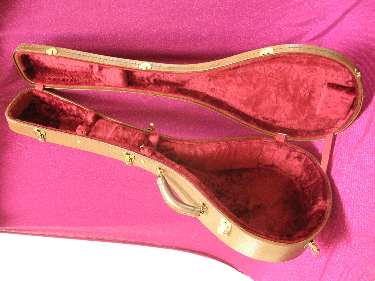 CUSTOM MADE BOUZOUKI CASE BOUZOUKI WORLD